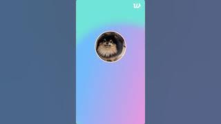 [MULTI SUB] 🔴 BTS V Weverse LIVE 🔴 Today 💜 03.10.2025 🔴 Taehyung Full Weverse LIVE 😍 V Weverse Live