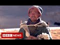 Himalayan yak herder 'last shepherd' in his family - BBC News