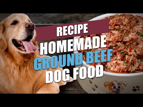 homemade-ground-beef-dog-food-recipe