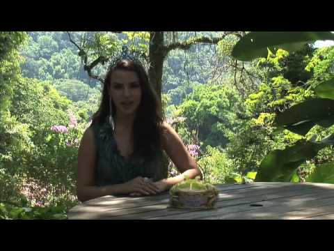 Miss Brazil Tamara Almeida Silva's Frog Message fo...