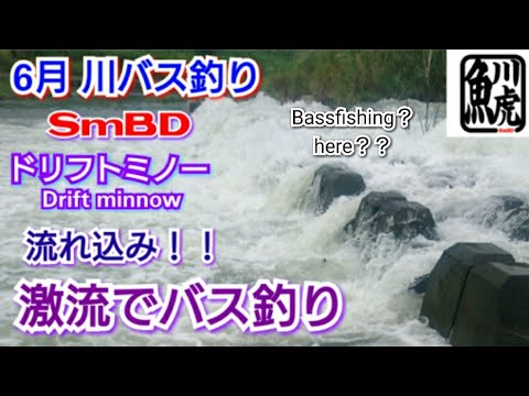 yasu 激流川【バス釣り】ドリフトミノー/川スモールマウスバス/2021年6月Bassfishing?here??!