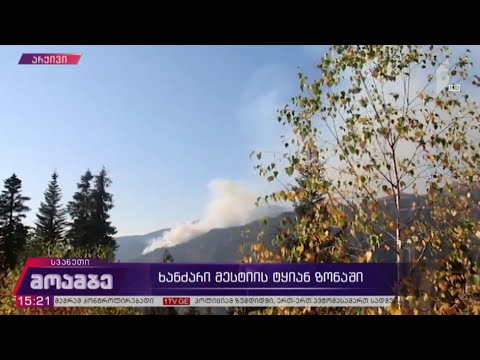 ხანძარი მესტიის ტყიან ზონაში