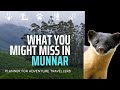 What do many miss in munnar  i trekking birding wildlife angling  more
