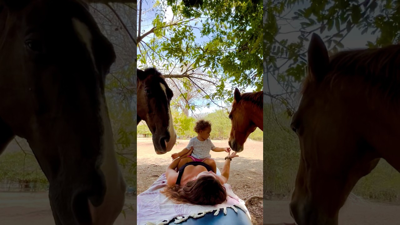 Relaxing in the herd 🐴❤️ #beach #horse #love #nature #beautifulscenery #healing g