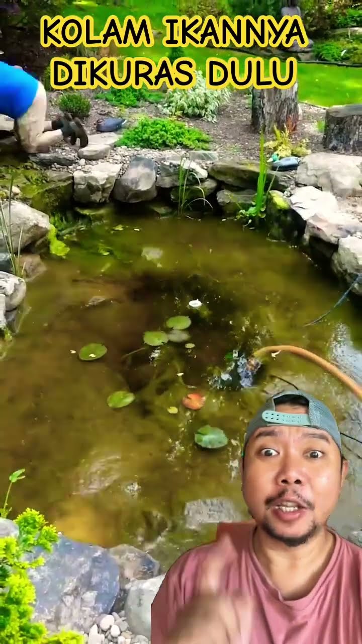 MENGURAS KOLAM IKAN DITAMAN?????!!!!!#shortsfeed #shorts