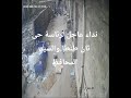 نداء عاجل لرئاسة حى ثان طنطا والسيد المحافظ عاجل
