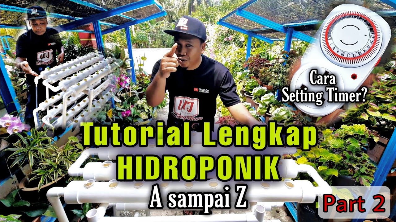 TUTORIAL lengkap Hidroponik untuk pemula  Sistem DFT Deep Flow Technique