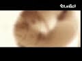 أستغفر الله *(العفاسي)*