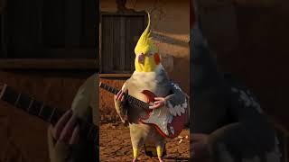 តន្ត្រី