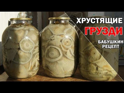 Как солить грузди, чтобы они были хрустящими. Грузди соленые горячим способом