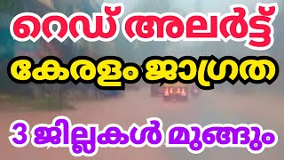 റെഡ് അലർട്ട്/കേരളം ⛈️🌧️😲 kerala rain news today malayalam | weather update #redalert #rain #tourism