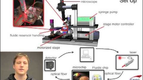 SiEPIC-2013-3MT-JonasFlueckiger.m4v