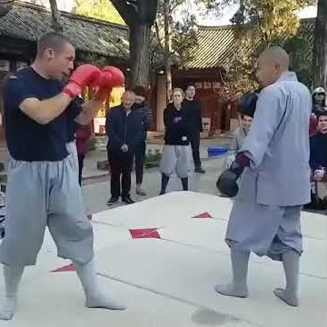 Monk Vs MMA fighter😨