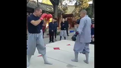 Monk Vs MMA fighter😨