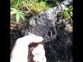 Ww2 relic hunting A finding from the World War era This content is sha