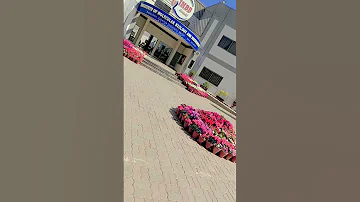 Institute Of Molecular Biology And Biotechnology BZU Multan Viralvideo Gtaonline Bzu 