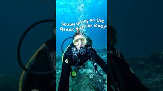 Spend the day with me scuba diving & snorkeling on the Great Barrier Reef🪸🤿 #australia #travelvlog