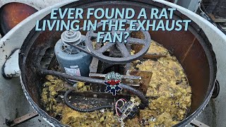 ever found a rat living in an exhaust fan ?