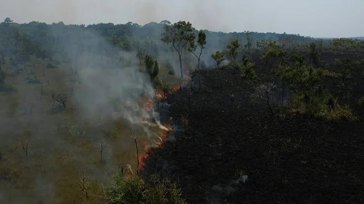 Fires ravage Brazil's Amazon rainforest | AFP