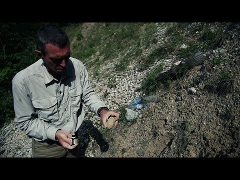 Vidéo: Qu'est-ce qui cause une moraine?