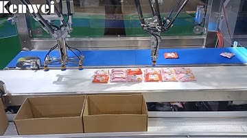 Manipulator Packing System丨Automatic Packing Machine Manufacturer