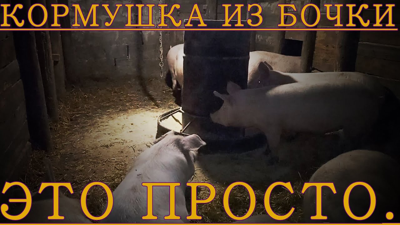 Финальные штрихи и тестирование работы кормушки