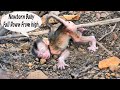 Story Sad,Mix Clip Video Poor Life Of Newborn After Gave Birth Till Death By Bad Mom Drop From Tree😭
