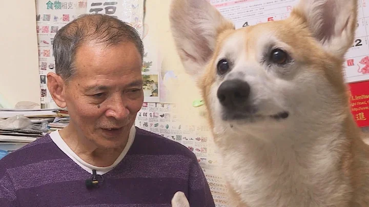 伯伯狗狗十幾年人狗情  竟然被迫分離？- 東張西望 - 天天要聞