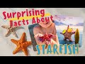 Facts About Starfish That Will Surely Surprise You | Science For Kids | Educational Videos For Kids