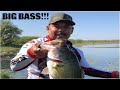 Resumen de PESCA 2020! (BIG BASS!)