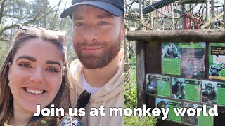 Join Us At The Monkey World