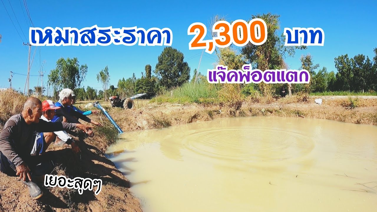 หนุ่มอ้นเหมาสระราคา 2,300฿ ปลาโคตรเยอะแห่งปี เฮลั่นสระ แจ๊คพ็อตแตกจนได้ !!