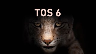 TOS 6, The epitome of user-friendliness and aesthetic appeal in NAS operating systems.