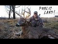 Public Land Bow Buck! | Scary Encounter, I Get Harassed!