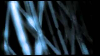 6X4 Space International Awards Short Film.