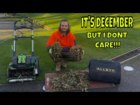 I'm Pushing Back Against The Narrative About Winter Lawn Care.