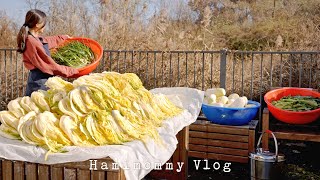 Sub 집에서 김치 100Kg 김장하고 보쌈 먹방 ㅣ따뜻한 모닥불 불멍ㅣ일상 VlogㅣMaking 100Kg Of Kimchi At Home 