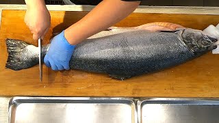 東港漁郎 - 鮭魚切割生魚片/炙燒鮭魚/握壽司/黑鮪魚生魚片 Salmon Cutting Skills /Salmon Sashimi & Nigiri sushi