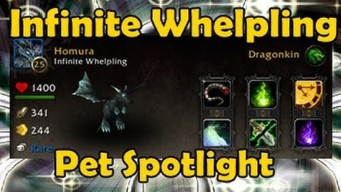 Infinite Whelpling - Pet Spotlight
