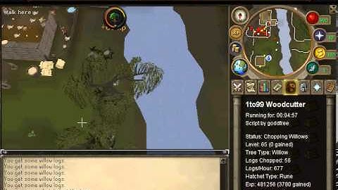 1to99 Woodcutter by Goddfree - Powerbot RSBot