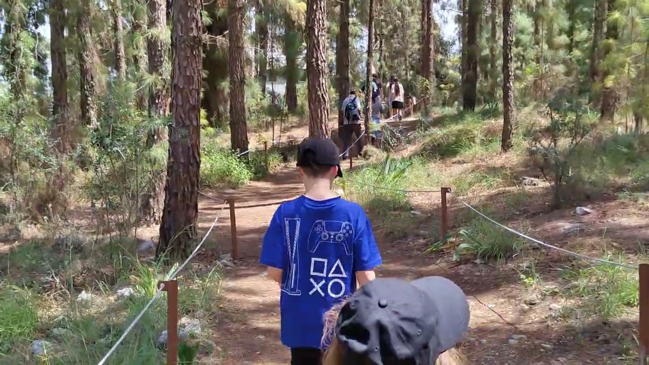 Walking the Rakefet Forest