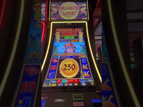 Spill kasino på nett med kontakt til Dudespin - Se alle mulighetene våre