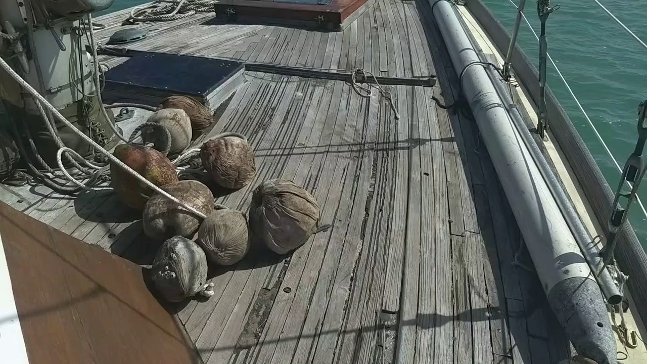 IGUANA ON THE BOAT!