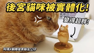 【後宮貓咪被實體化變得超胖】志銘與狸貓 阿瑪 X 朝隈俊男