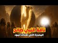 ناقة صالح عليه السلام | المعجزة العظيمة وعاقبة ثمود