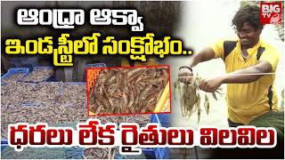 Aqua Farmers Face Big loss in Andhra Pradesh | AP Aqua Farmers Problems | CM Chandrababu | BIG TV