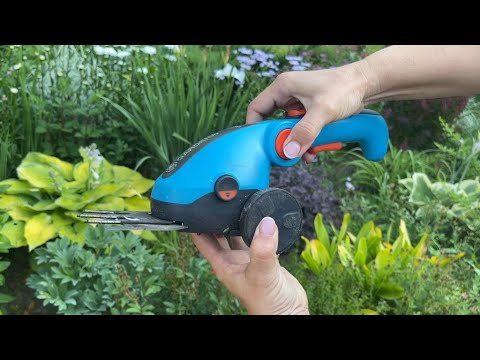 Видео: Для чего используются садовые ножницы: узнайте о различных видах ножниц для обрезки