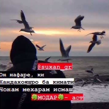 мусик - YouTube
