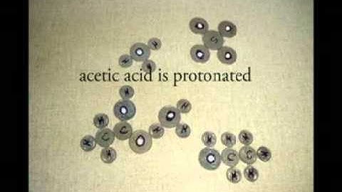 Esterification animation updated
