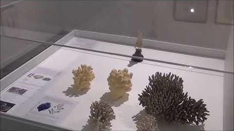 Exhibition inspired by D